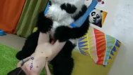 Panda movies nude - Sexy and fun panda fucks babe