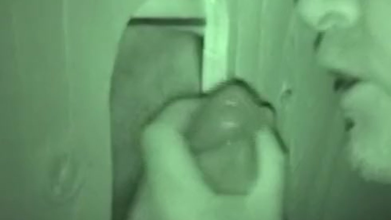 Mature Bear Sucking Cock In Nightvision RedTube